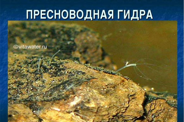 Kraken 2 зеркало