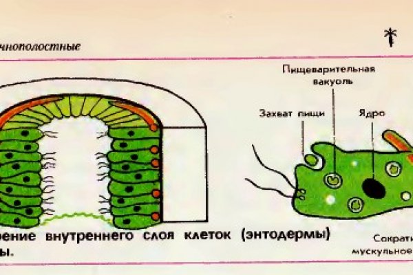 Кракен онион ссылка на тор