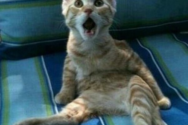 Кракен наркота что это